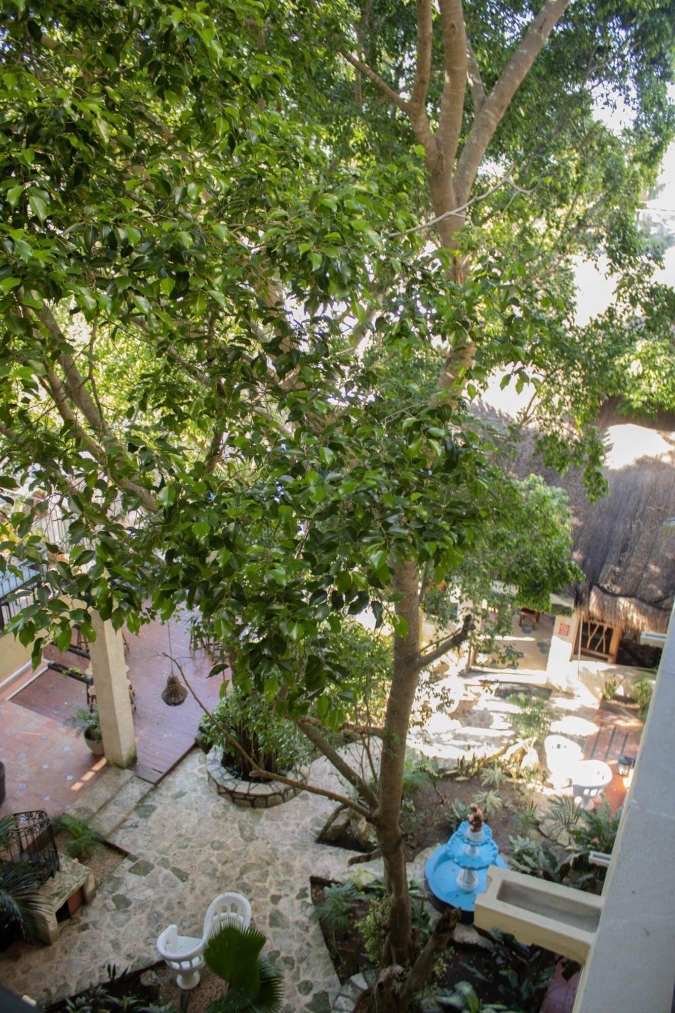 Hotel Nojoch Che Cobá Екстериор снимка